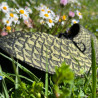 Colletto Serpente