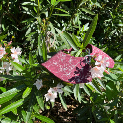 Colletto decorato Fiori